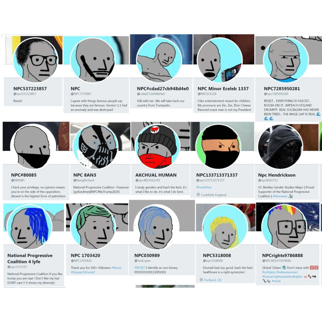 NPC Goes Viral